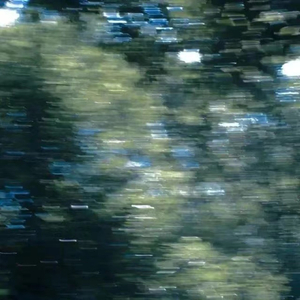 国产成AV人片在线观看天堂无码
